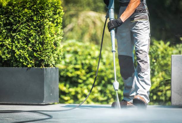 Best Pre-Holiday Cleaning  in Agua Fria, NM